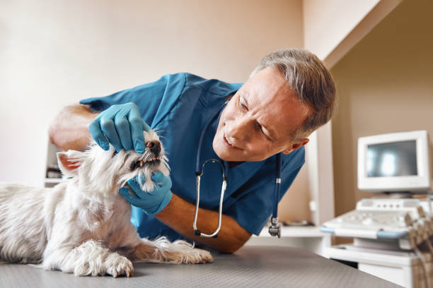 Best Dentist for Tooth Abscess  in Lebanon, OH
