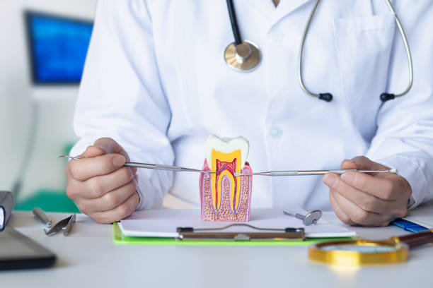 Best Emergency Dental Filling Replacement  in Lebanon, OH
